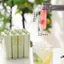 Khay đá thanh dài SAIA, Di động có nắp Khuôn Popsicle cũ, Khuôn làm đá silicon Dụng cụ nhà bếp