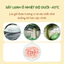 Sữa Chua Sấy Lạnh HAESWIM Nhiều Vị Giữ Nguyên Hàm Lượng Dinh Dưỡng Nhập Khẩu Hàn Quốc