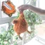 SA Sang Trọng Chick Hộp Đựng Bút Chì Đa Năng Sang Trọng Túi Bút Chì Di Động Trang Điểm Tổ Chức Túi Bảo Quản Cho Trường Học Văn Phòng