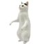Hàng có sẵn Nhật Bản Kitan Gashapon Moriguchi Shu 's Cat 3 Mô hình động vật Trang trí máy tính để bàn N4D6