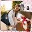 PYCOU Giá đỡ Photocard dễ thương, Phong cách INS Trang trí cho bé gái Photocard, Nơ ngọc trai PU mềm sành điệu Túi ảnh bảo vệ Charm Photocard