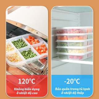 Hộp Đựng Thực Phẩm Chia Ngăn Chống Mùi Tủ Lạnh MAISON, Khay Trữ Hành Tỏi Gừng Sơ Chế, Hộp Bảo Quản Đa Năng