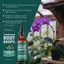 Chất lỏng nuôi rễ nhân giống gốc 100ml Chất kích thích rễ cho cây trồng để trồng thủy canh ngoài trời trong nhà jiwvn