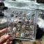 XOITOP Vỏ Ngoài Trời Hộp Bảo Quản Mini Conch Bộ Sưu Tập Hộp Trong Suốt Cao Acrylic Lưu Trữ VN