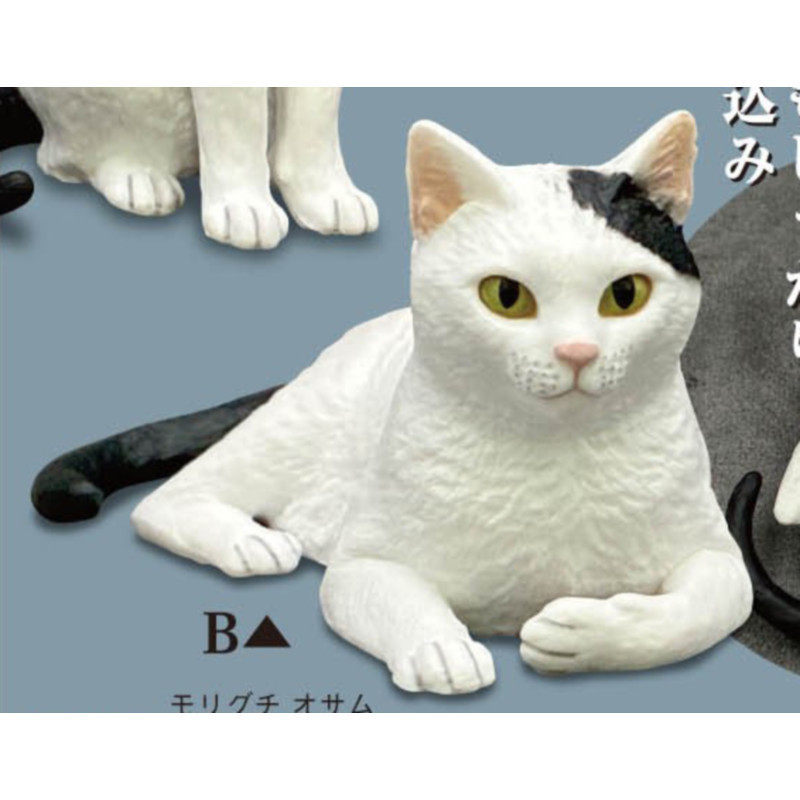 [BTF] Hàng có sẵn Nhật Bản Kitan Gashapon Moriguchi Shu 's Cat 3 Mô hình động vật Trang trí máy tính để bàn N4D6