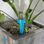 Thiết bị tưới cây tự động cho cây trồng trong chậu, hệ thống tưới nhỏ giọt điều chỉnh được, bình tưới dạng que.