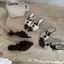 TT Mũi Nhọn Ren-Up Sandal Nữ Gót Dày Flip-Flops Hai Cánh Nơ Da Thời Trang V