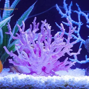 TRTR Nhựa Mô Phỏng Mini San Hô Micro Phong Cảnh Cá Sao Biển Trang Trí Bể Cá Trang Trí Đồ Trang Trí Thực Vật Phụ Kiện VN