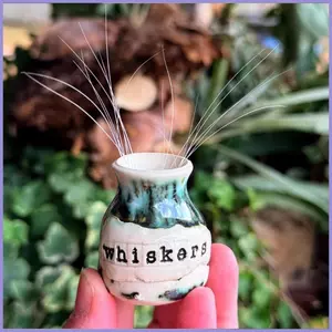 Mèo Whisker Giá Đỡ Bình Mèo Con Giữ Đồ Mèo Con Cảm Cảm Thông Quà Tặng Cho Cha Mẹ Động Vật Người Yêu Văn Phòng Tại Nhà mueadsyvn