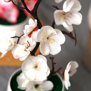 Hoa Mai Giả Đào Cây Cảnh Bonsai Trang Trí Tết Để Bàn May Mắn Quà Tặng Tân Gia Chậu Nhỏ Lụa Cao Cấp Như Thật Decor Phòng Khách Văn Phòng Làm Việc Mẫu Mới Đẹp Lung Linh Đạo Cụ Chụp Ảnh Sự Kiện Lễ Hội Cưới Hỏi Sang Trọng Nội Thất Nhựa