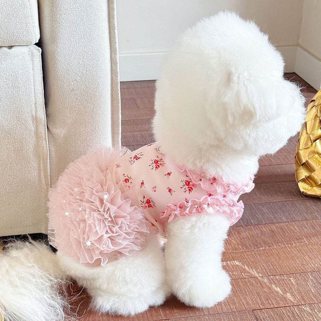 Mùa Hè Thú Cưng Quần Áo Chó In Hình Nhà Quần Áo Mỏng Băng Lụa Phù Hợp Với Teddy Bichon Mèo Quần Áo