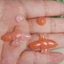 Flgo Tròn Doves Khuôn Trang Sức Silicon Đa Hình Chim Thiết Kế Cho Nhựa Mặt Dây Chuyền Bông Tai Thủ Công Phụ Kiện