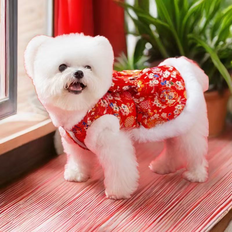 Quần Áo Thú Cưng Thu Đông Năm Mới Plus Nhung Năm Mới Đường Phù Hợp Với Váy Teddy Bichon Chó Mèo Lực Kéo Trung Quốc Năm Mới Áo