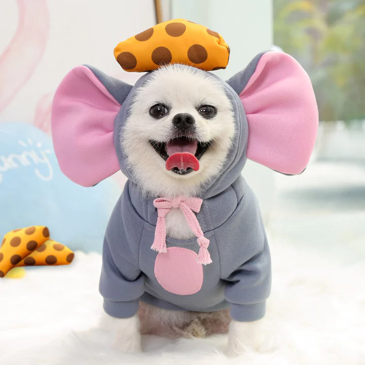 Thú Cưng Thu Đông Chó Biến Hình Mèo Áo Lông Cừu Quần Áo Chó Đồ Cho Mèo Teddy Bichon Pomeranian Nhỏ Vừa Chó