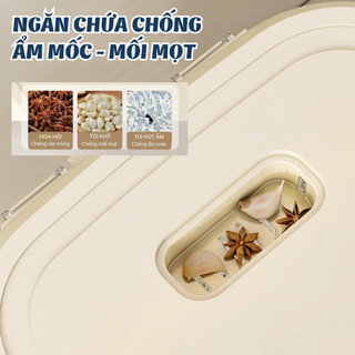 Thùng Đựng Gạo Trong Suốt Cỡ Lớn Có Bánh Xe Xoay 360, Hộp Bảo Quản Ngũ Cốc Có Nắp Đậy Kín Chống Ẩm