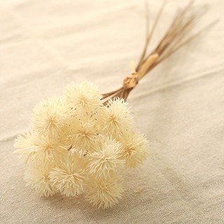 Hoa Giả Bồ Công Anh Cầu Gai Trang Trí Phòng Vintage Decor Đẹp Bó Lụa Cao Cấp Đạo Cụ Chụp Ảnh Phong Cách Hàn Quốc Màu Be Nâu Dương Xỉ Cỏ Lau Khô Sắp Xếp Đám Cưới Phụ Kiện Nội Thất Sang Trọng Quà Tặng Studio Sáng Tạo Hiện Đại Tinh Tế Thẩm Mỹ Ban Công