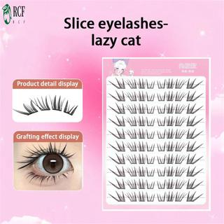 Mắt Mèo Nhìn Tự Nhiên Lông Mi Giả Mô Phỏng Ghép Phân Đoạn Lông Mi Giả Cho Hẹn Hò Cưới Sử Dụng Hàng Ngày