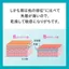 Curel Smoothing Lip Care Stick 4.2g- Direct from Japan