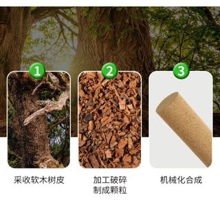 Gậy leo núi cho bò sát Cấu trúc leo núi chống trượt cho thằn lằn, tắc kè và ếch cây