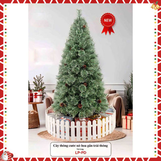 Cây Thông Noel Trang Trí Không Gian Châu Âu Mẫu Đẹp Nhất 2025 –Quà Tặng Mùa Giáng Sinh