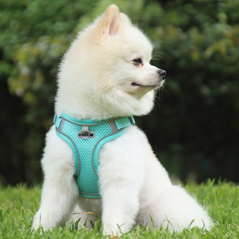 Phong Cách Mỏng Thoáng Khí Cho Chó Dây Đeo Ngực Dây Xích Thú Cưng Dây Đeo Ngực Chó Con Mèo Thú Cưng Dây Đeo Áo Phong Cách Thoáng Khí Ngực Chó Nhẹ Dây Xích Đi Chơi Chó Đi Bộ Dây Xích Teddy Pomeranian Schnauzer