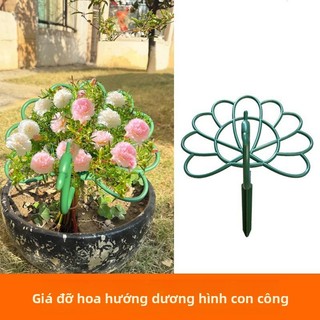 Con Công Hoa Hướng Dương Đứng Trong Nhà Hoa Hình Hoa Hướng Dương Một Lớp Chân Đế Hoa Cố Định Khung Hỗ Trợ Hoa Khung Vườn