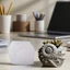COO Chắc Chắn Silicon Conch Planter Khuôn Thủ Công Hộp Nhựa Trang Trí Quà Tặng