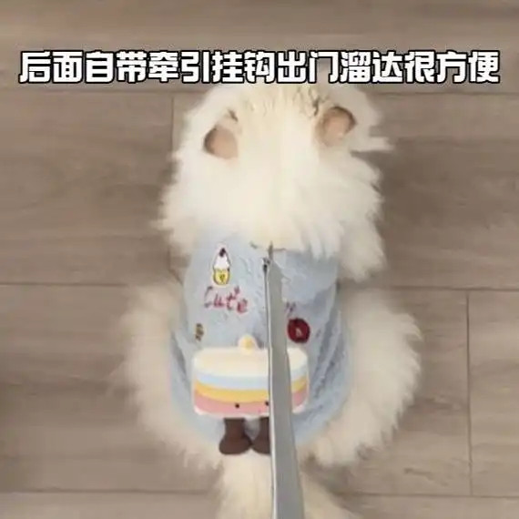 Mùa Thu Đông Quần Áo Thú Cưng Ấm Áp Chống Lạnh Dày Cotton Teddy Bichon Chó Hai Chân Quần Áo
