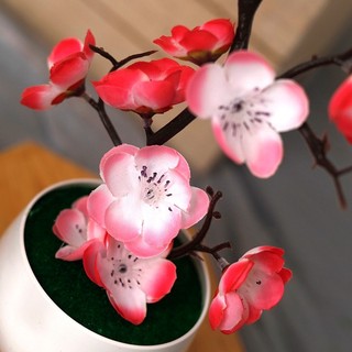Hoa Mai Giả Đào Cây Cảnh Bonsai Trang Trí Tết Để Bàn May Mắn Quà Tặng Tân Gia Chậu Nhỏ Lụa Cao Cấp Như Thật Decor Phòng Khách Văn Phòng Làm Việc Mẫu Mới Đẹp Lung Linh Đạo Cụ Chụp Ảnh Sự Kiện Lễ Hội Cưới Hỏi Sang Trọng Nội Thất Nhựa