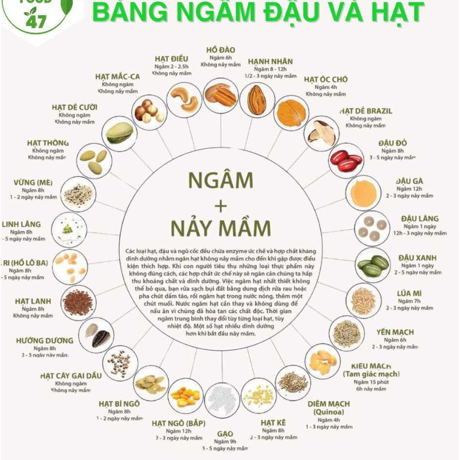 Đủ Loại Hạt Đậu Hữu Cơ Nấu Sữa Nấu Cháo Nấu Chè - Hạt Nguồn Gốc Rõ Ràng