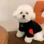 Mùa Thu Chó Tình Yêu Áo Len Ấm Áp Quần Áo Thú Cưng Mèo Đáy Áo Sơ Mi