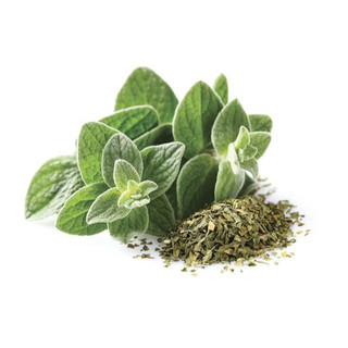 Lá Kinh Giới Oregano Vipep 20g - Gia Vị Tinh Tế, Chuẩn Hương Vị Ẩm Thực Cao Cấp