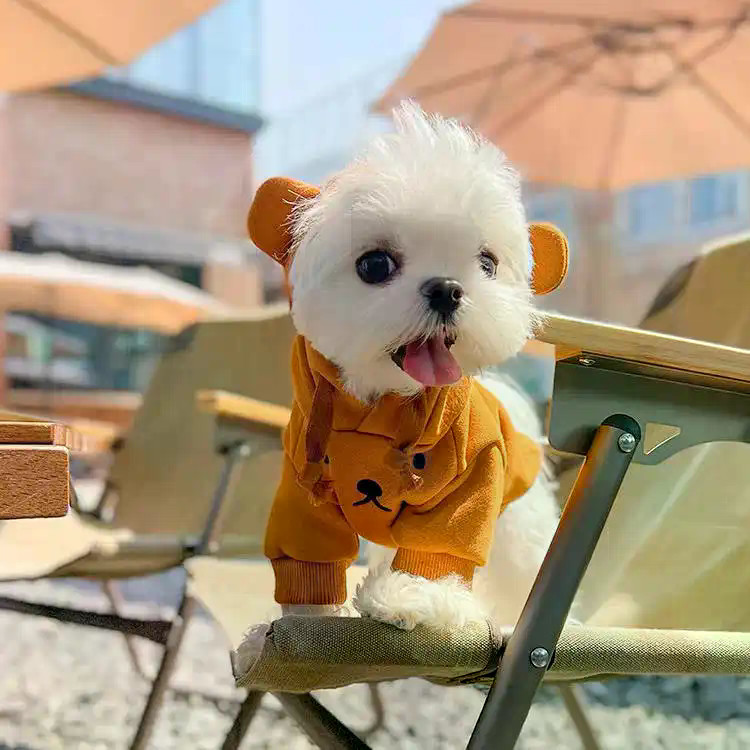 Quần Áo Cho Chó Mùa Thu Đông Lông Cừu-Fleece Tai Quần Áo Chống Lạnh Giữ Ấm T