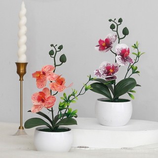 Chậu hoa lan hồ điệp giả mini trang trí để bàn phòng khách cây cảnh nội thất nhà cửa đẹp cao cấp sống động nhựa nhỏ gọn kệ sách quán cafe quà tặng decor bonsai nhiều màu sắc chụp ảnh phụ kiện phong thủy trắng sang trọng dễ thương xinh xắn