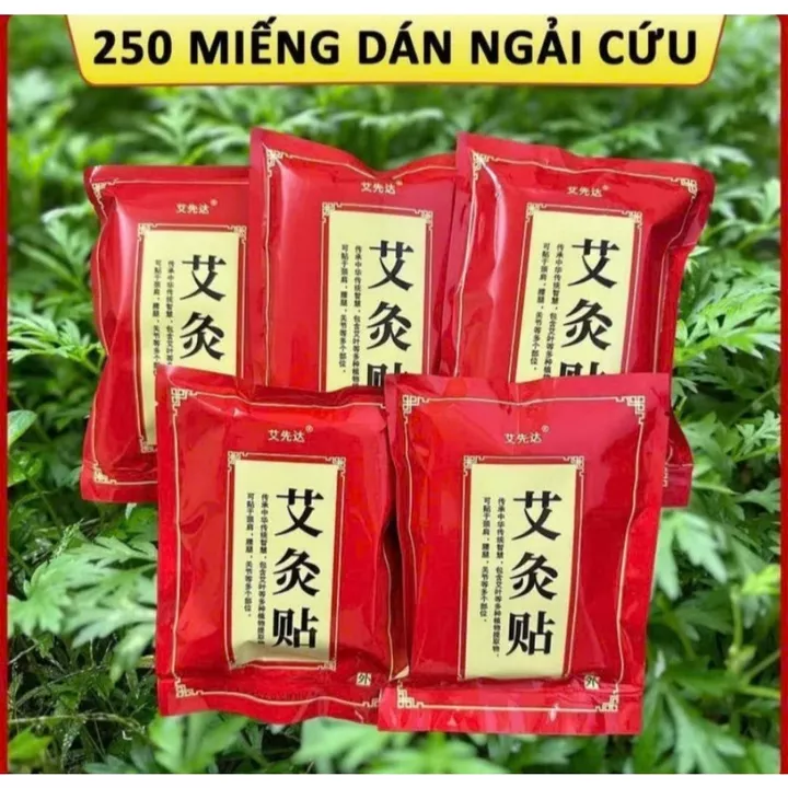 Red Mugwort Joint Patch – 2