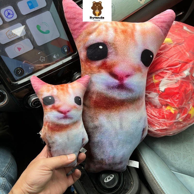 Mới Dễ Thương Meme Mèo Sang Trọng Đồ Chơi Vui Nhộn Mèo Đáng Yêu Sang Trọng Búp Bê Mặt Dây Chuyền Meme Mèo Nhồi Bông Búp Bê Mềm Mại Cho Bé Trang Trí Sofa Nhà Ngộ nghĩnh Quà Tặng Sinh Nhật Cho Trẻ Em Quà Tặng Giáng Sinh