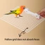 Nền tảng chim ruồi hàng đầu Làm giàu cá rô đa chức năng cho vẹt Budgies