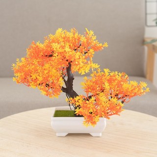 [BÁN] Chậu Cây Cảnh Nhân Tạo Cây Thông May Mắn Cây Giả Hoa Trang Trí Nhà Phòng Khách Văn Phòng Để Bàn Trang Trí Trong Nhà Nhựa Thẩm Mỹ Quà Tặng Cây Xanh