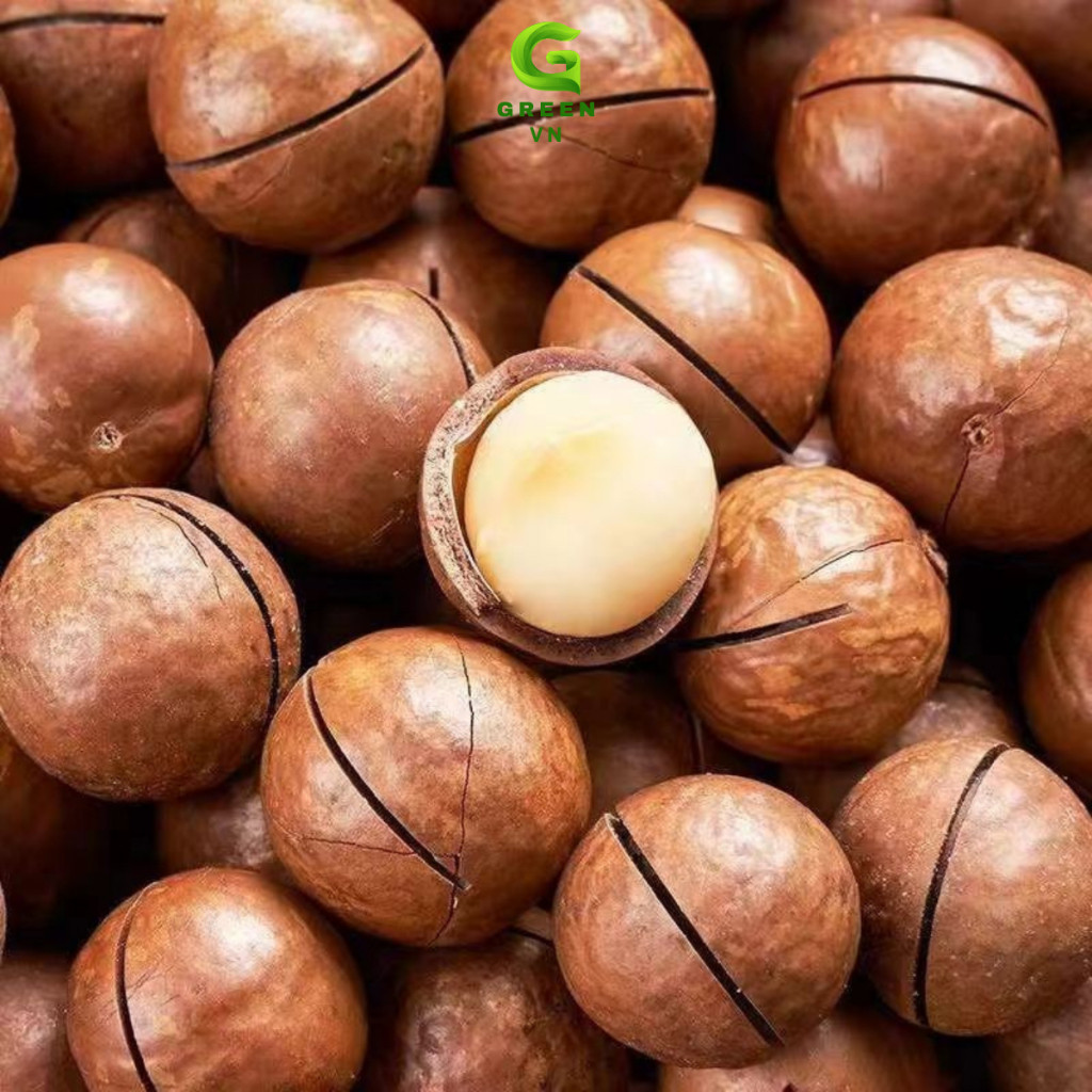 500Grm Mắc Ca Nứt Vỏ Đak Lak Size Bi - Mới, Giòn, Ngon, Date mới