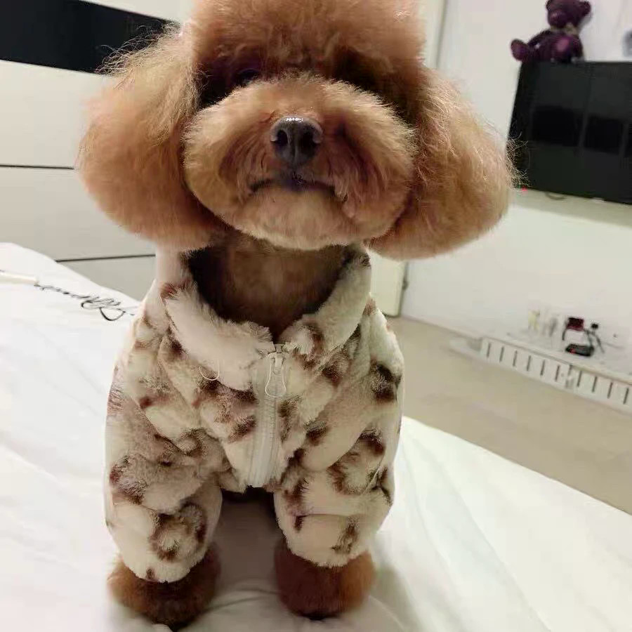 Áo khoác thú cưng mùa thu đông Teddy Bichon Chó nhỏ Áo khoác da mèo ấm áp Phong cách thời trang