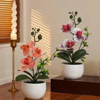 Chậu Hoa Lan Hồ Điệp Giả Trang Trí Nhà Cửa Để Bàn Làm Việc Decor Cao Cấp Giống Thật Lụa Phalaenopsis Cây Cảnh Văn Phòng Quà Tặng Sang Trọng Tinh Tế Phụ Kiện Chụp Ảnh Nội Thất Mini Hiện Đại Xinh Xắn Điểm Nhấn Không Gian Ban Công