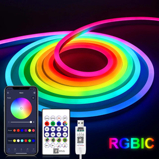 WS2812 RGBIC RGB LED Neon Dải đèn, 5V USB Chống Thấm Nước Bluetooth Diode Neon Băng Ruy Băng Có Điều Khiển Từ Xa Để Trang Trí Trần Phòng