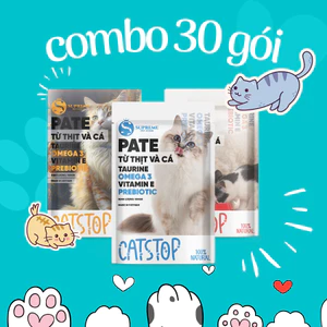 Ship từ HCM - Combo 30 gói Pate mèo Mix vị, mỗi gói 100 gram