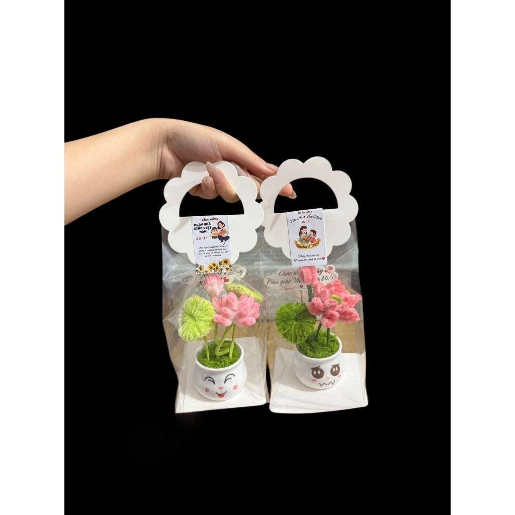 [HỎA TỐC HCM] 10 CÁI TÚI BÓNG KÍNH DÀY KÈM QUAI ĐỰNG HOA MINI ,CÂY THÔNG NOEL, CHẬU HOA MINI SIÊU XINH ANGIHOME