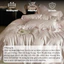 Bộ chăn ga gối chất liệu mềm mịn thướt tha MemMinbedding Luxury họa tiết in hoa nổi phối viền bèo - L41693