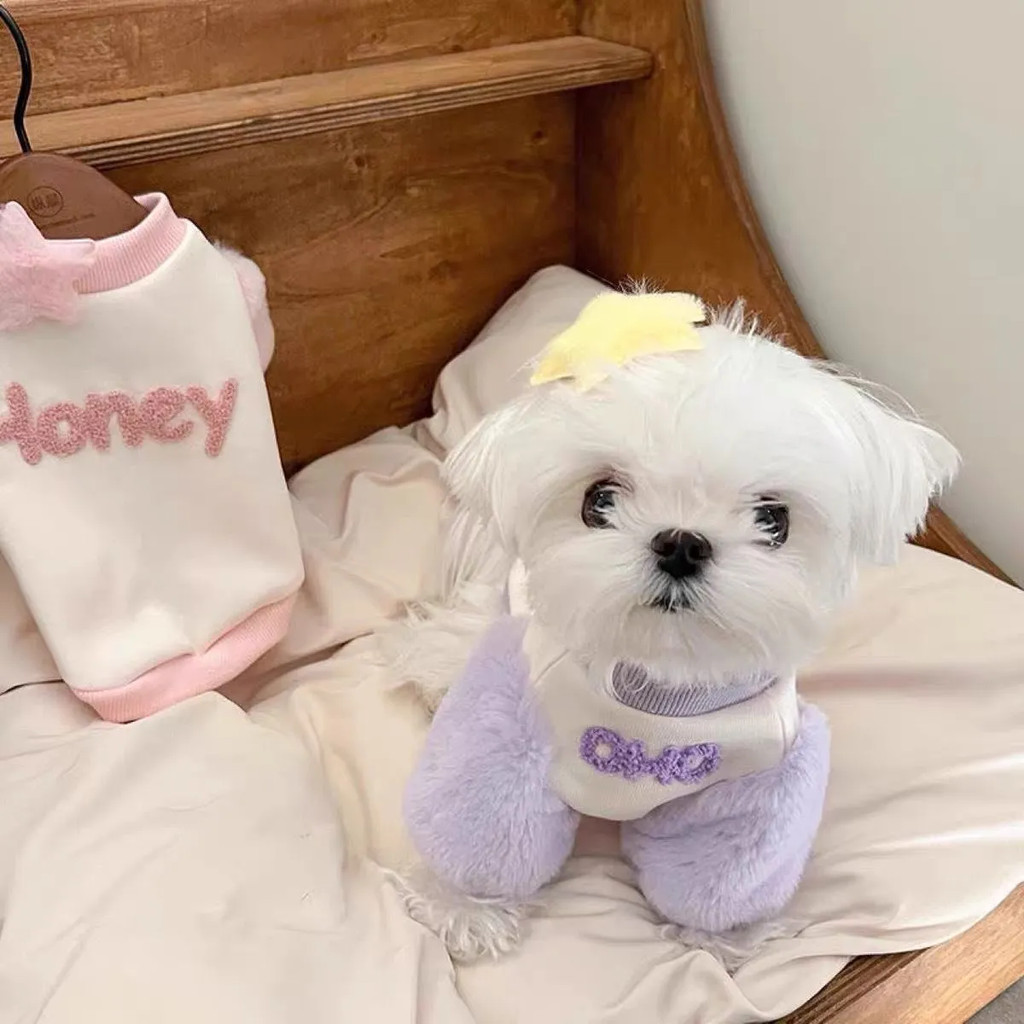 Mùa Thu Đông Thú Cưng Áo Lông Cừu Ấm Quần Áo Cho Chó Teddy Bichon Quần Áo Mèo Nhỏ Chó Mùa Đông Quần Áo