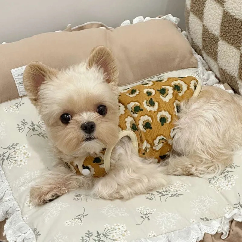 Áo Vest Chó Quần Áo Thú Cưng Teddy Schnauzer Bichon Poodle Mèo Pomeranian Chó Mùa Thu Đông Quần Áo