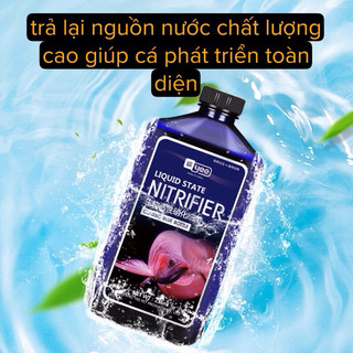 DUNG DỊCH VI SINH BỂ CÁ  Nitrifier (YEE) - vi sinh sinh học giúp thải độc , cải tạo chất lượng nước bể cá