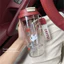 Bình Nước Trong Suốt 580ml Có Ống Hút – Dễ Thương, Chịu Nhiệt Tốt | Bibabibo