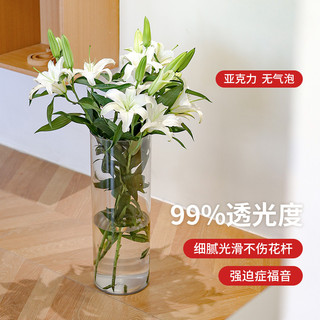 Chống Sốc Trong Suốt Bình Acrylic Trang Trí Phòng Khách Sắp Xếp Hoa Tài Lộc Tre Thủy Canh Nhẹ Sang Trọng Đơn Giản Làm Mới Xô Hoa RYYO